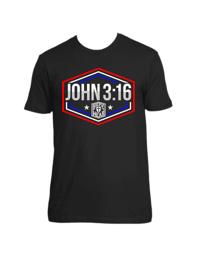 John 3:16