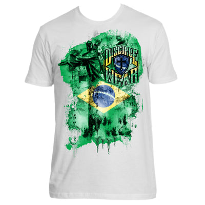 BRAZIL FLAG