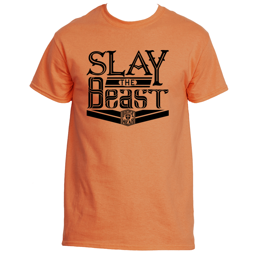 SLAY THE BEAST